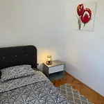 Tulip *