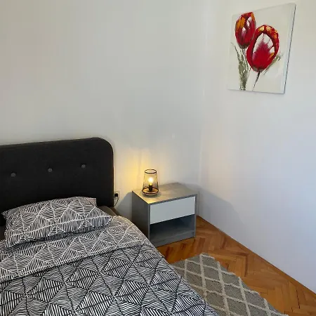 Tulip *